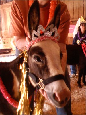 Pony-Tail Lass's 1st Birthday