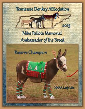 2013 Tennessee High Point Reserve Champion Ambassador Donkey!