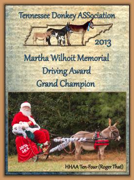2013 Tennessee Grand Champion Driving  Award!