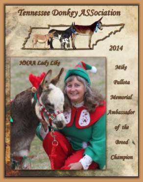 2014 High Point Ambassador Donkey  of Tennessee