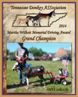 2014 Tennessee Grand Champion Driving Donkey