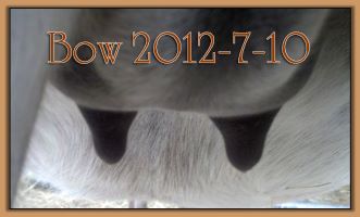Bow 2012-7-10