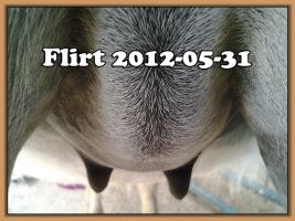 Flirt 2012-05-31