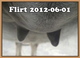 Flirt's Teats 2012-06-01