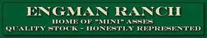 Link to Engman Ranch (6324 bytes)