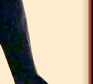 Circle C Jose ~ In Hand Jumping