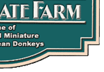 North Gate Farm in Granbury, Texas