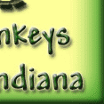 Thom-Ass Acres Miniature Donkeys in Winchester, Indiana