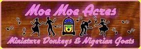 Moe Moe Acres Miniature Donkeys