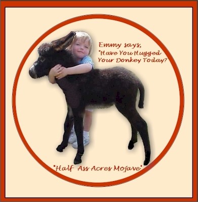 Emmy says, 'Have you hugged your donkey today?