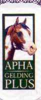Paint Horse Incentive Fund Logo (3458 bytes)
